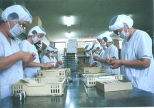 ��V�������C���A�ʏ́u���҂ւ̓��v